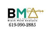 BLACKMOLDANALYSIS